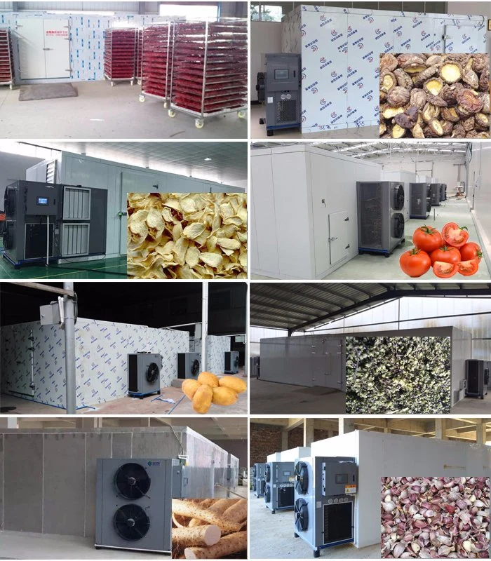 Hot Air Drying Food Fish Dehydrator Fruit Vegetable Dryer Drying Machine