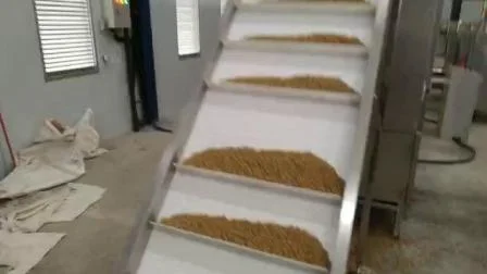 Pet Dog Food Pellet Processing Line